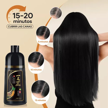 Shampoo Instantáneo Cubre Canas 3 en 1 Natural - Jengibre